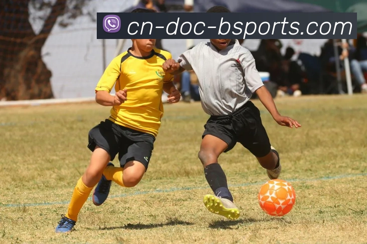 App Interface Preview