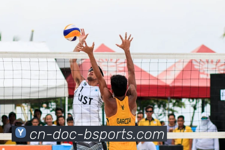 B体育APP 封面图